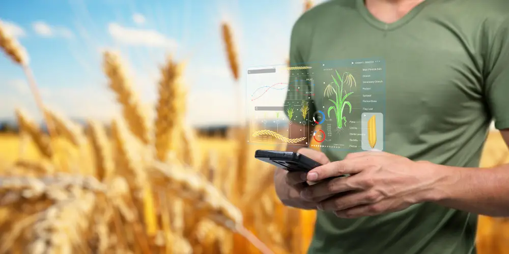 Food Chain Suppliers